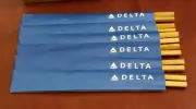 Delta Airlines set of 6 Japanese Chopsticks twisted bamboo Part Number 044208030