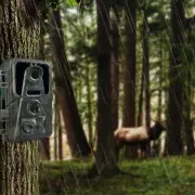 Trail Camera Portable Hunting Camera for Wildlife Watching Photo Backpacking