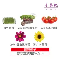 在飛比找momo購物網優惠-【小美紀】高優質 種子(苜蓿 紫蘿蔔芽 小番茄 波斯菊 向日