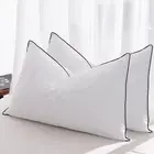 MOSLUNA Goose Feather Down Pillows Standard Size Set of 2, Luxury Hotel Colle