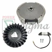 Flywheel Charge Coil Fan on Predator Headlight 212CC 6.5HP Engine By Loncin 170F