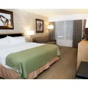 Holiday Inn Spearfish-Convention Center, an IHG Hotel