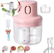 Sky Picnic Wireless Food Chopper, Skypicnic Wireless Food Chopper Garlic Mincer, Electric Minced Garlic in Jar, Portable Rechargeable Kitchen Gadget with Stainless Steel Blades (250ML)