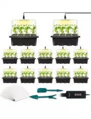 12 Set Seed Starter Tray with Grow Light, Seed Starting Trays Kits with Timing
