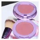 NIB Half Caked Best Friends Forever In Bloom Blush and Brush Set