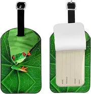 [OdDdot] Cute Frog Print Luggage Tags for Suitcase,Travel Cruise Luggage Tag, with Privacy Flap Name ID Labels