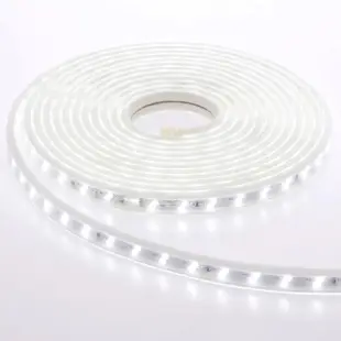 【特力屋】LED 5M 2835 軟條燈 110V 白光