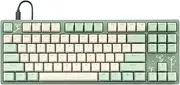 DROP Expression Series Shinai TKL Mechanical Keyboard - Holy Panda X Tactile Switches - PBT Double-Shot Keycaps - LED Backlight - Green