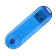4Gb Usb Flash Disk (Blue)