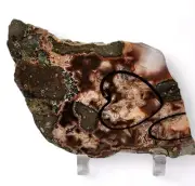 Rosetta Lace Agate Slab 94.4 grams.