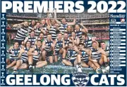 2022 GEELONG CATS TEAM PHoto,AFL FOOTBALL PREMIERS ,SWANS, pies book, demons