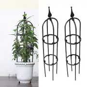 US 2 Sets Vines Climbing Support Steel Pipe Outdoor Plant Flower Vegetable Frame