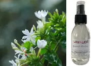 White Jasmine & Ivy - Room Spray