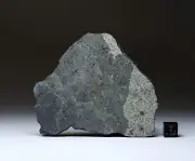 NWA 15197 - 62,6g - first and only approved LL4-6-melt breccia - Meteorite