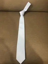 在飛比找Yahoo!奇摩拍賣優惠-全新LANVIN水藍色斜織紋窄版領帶