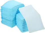 DECHOUS 100pcs Disposable Puppy Training Pads, Puppy Pads Pet Pee Pads Disposable Pee Pads for Dogs Cats Rabbits