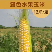 在飛比找台灣好農優惠-【遇米甜】產銷履歷-雙色(黃白)水果玉米 (12斤/箱)