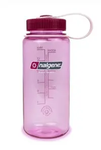 在飛比找Yahoo!奇摩拍賣優惠-【Nalgene】2020-2516【太空粉】0.5L(刻度