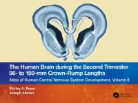 在飛比找博客來優惠-The Human Brain During the Sec