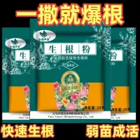 在飛比找蝦皮購物優惠-生根粉 生根劑 生根專用 髮根粉 壯根劑 生根必備 強力生根