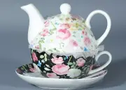STECHCOL 4 Pc. TEA FOR ONE in the WHITE & BLACK PETITE ROSES pattern.