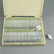100PCS Mammals Pathology Microscope Prepared Slides Set Specimen