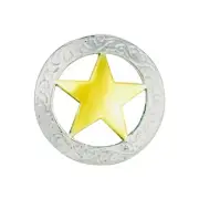 Texas Star Two Tone Screw Back Conchos SP/GP