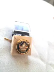 Vtg Original Grumman Tomcat Tieback Tie Pin