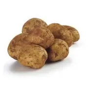 'Organic Dutch Cream Potatoes – Fresh, healthy organic delivery | Doorstep Organics'