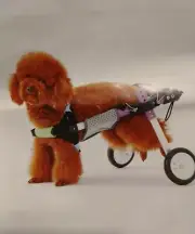 RUNMIND Two Wheel Pet Wheelchair w/ Abdominal Support - Size S Open Box