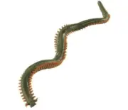 10 Berkley Gulp 6" Sandworms Soft Plastic Fishing Lures Bait Camo Bloody Natural