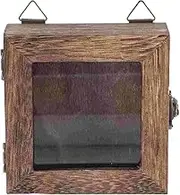 Retro Insect Display Box Specimen Frame for Dried Flower Case Shadow Boxes Vintage Glass Holder Wall Decor Frame