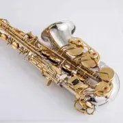 NEW A-WO37 Alto Saxophone Nickel Plated Gold Key Professional Sax With Case