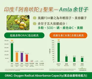 一畝田健康生技 超級硒Se+C余甘子錠240錠