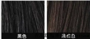 【現貨】頂豐 TOPPIK 增髮纖維 纖維式假髮 1個月/12g 兩色