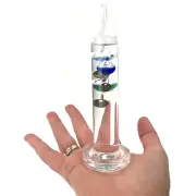 World's Smallest Galileo Thermometer