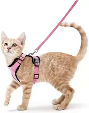 Cat Harness and Leash Set Harness for Cats for Walking Escape Proof Adjustabl...