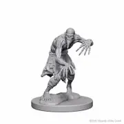 Wizkids Unpainted Miniatures - Nolzur's - Ghouls
