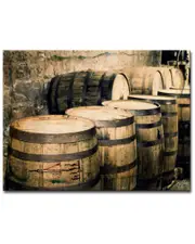 Ready2HangArt Devils Cut Wrapped Canvas Wall Art by Joelle Joy