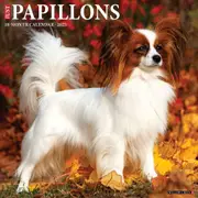 2025 Papillons Wall Calendar