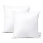 18x18Inch Throw Pillow Inserts, Set of 2 Square Form Cushion Stuffers for Cou...