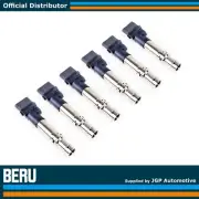6X Genuine OE Beru Ignition Pencil Coil Packs 3.2 3.6 V6 - VW Audi - 022905715B