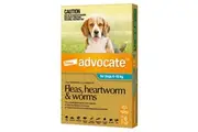 Advocate for Dogs - 6 Pack - Treats Fleas & Worms for Dogs 4-10kg - 6pk