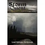 STORM QUEST: BOOK 9 IN THE QUEST SERIES