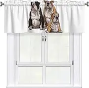 LHBWCVN English Bulldogs Valances for Windows, Rod Pocket Window Treatment Drapes Farmhouse Kitchen Curtains Short Blackout Window Curtains for Living Room Bedroom Decor 54x18 Inch
