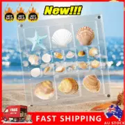 Polyshaped Acrylic magnetic shell display box Seashell Display Box Clear Storage