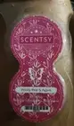 Scentsy Authentic Scent Pod Pods Twin Pak Pack- Prickly Pear & Agave Made In USA