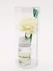 Small Aroma Oil MELON Diffusers Rattan Reed Fresh all the Time with Natural