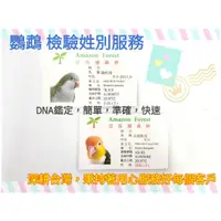 在飛比找蝦皮購物優惠-鸚鵡性別 付費檢驗袋-亞馬遜DNA鳥寶寶Q版身分證 DNA/