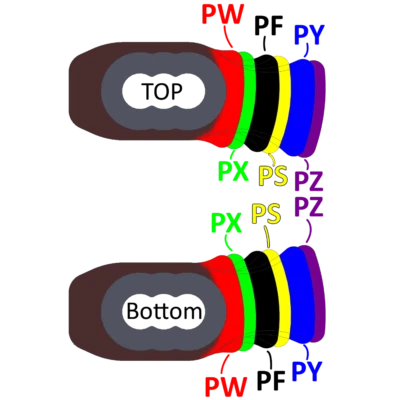 PW Draw Stop will fit Evolve SE, SE2, EC, EC2, ECS cams Lucky Stops brand